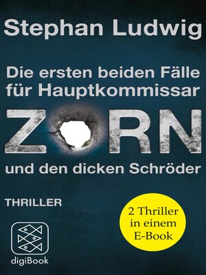 cover image of ZORN